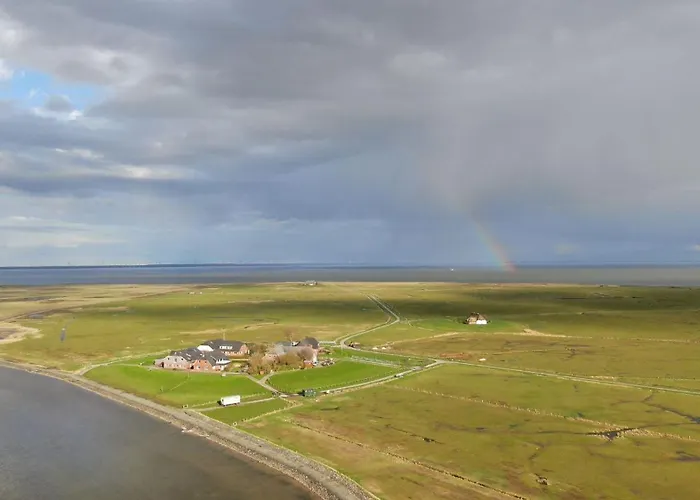 Hallig Hues
