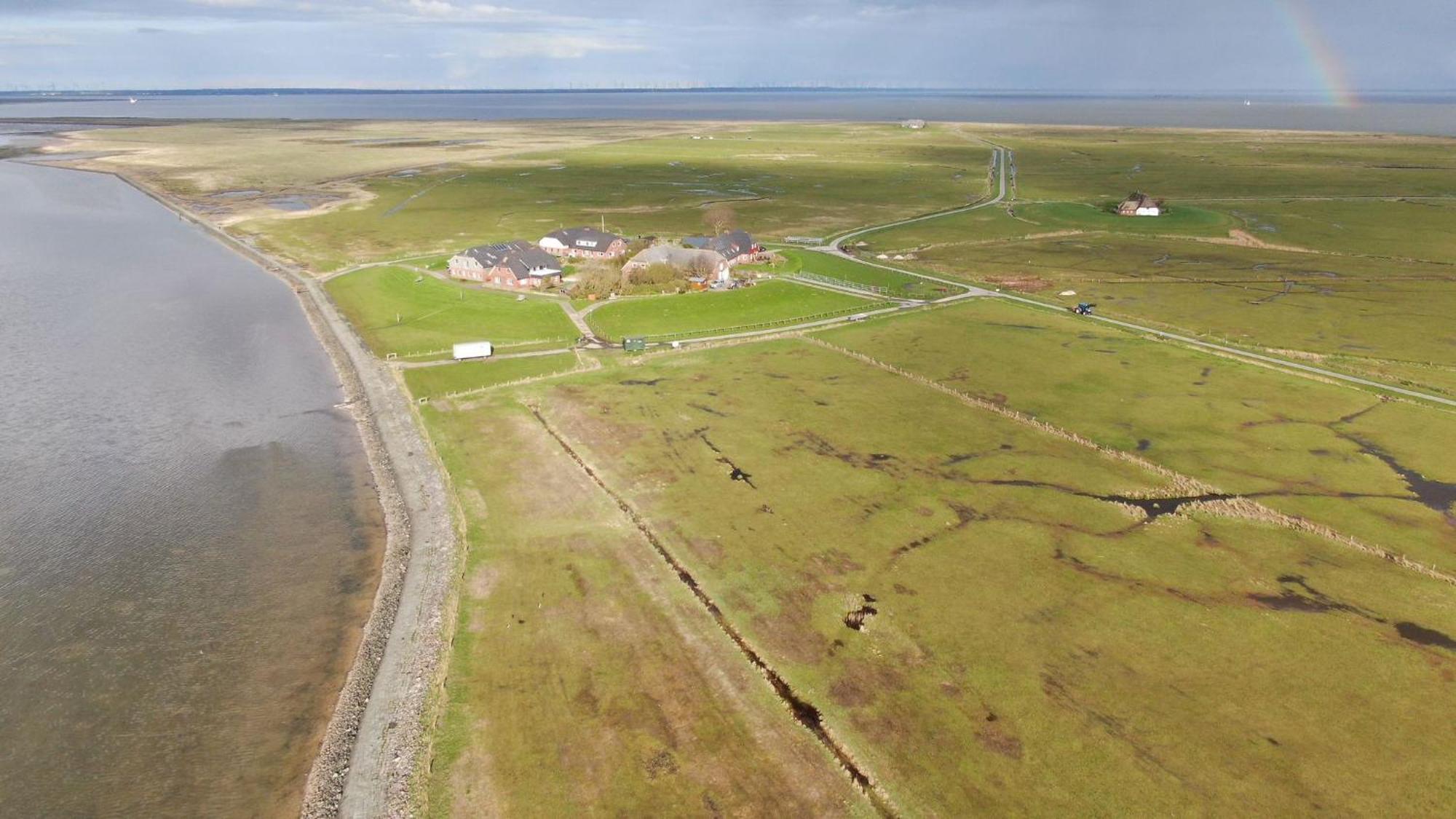 Hallig Hues