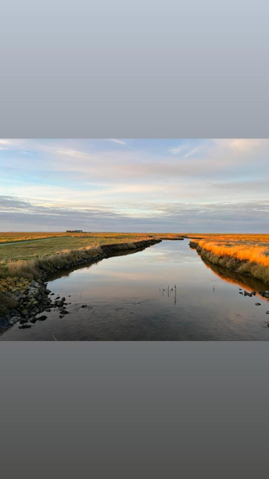 Hallig Hues *