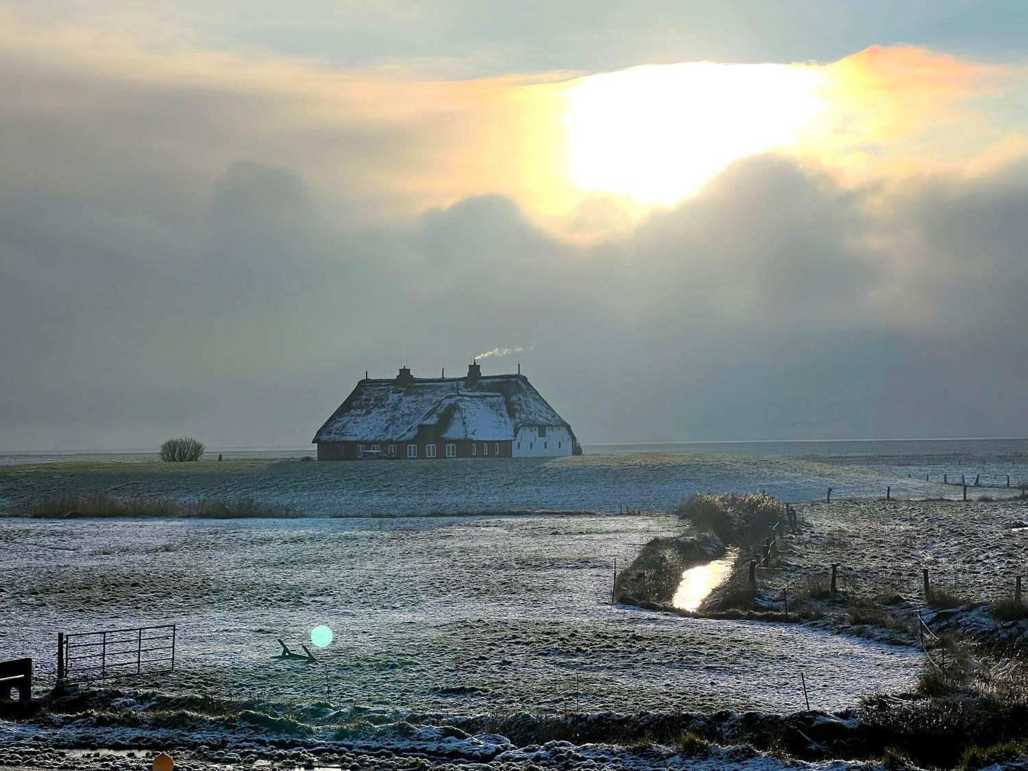 Hallig Hues Langeness