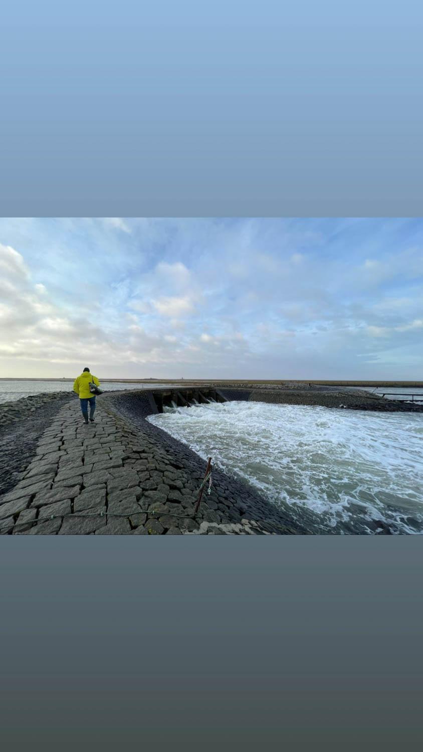 Hallig Hues